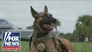 Cross Country highlights K9s helping heal veterans