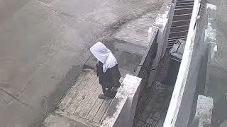 Ninja Van Delivery throwing package. Only in the Philippines