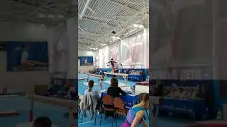 Ауди Нелли  бревно  МС