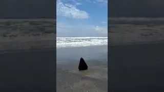 The Volcom Stone 🔥 #volcomindonesia #volcomstone #volcom #truetothis