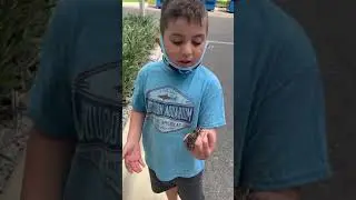 Kanon aka Nature Boy and a large Florida Moth