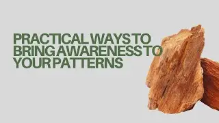 Transform Your Life by Recognizing Your Patterns-Survival to Sovereignty Ep. 4
