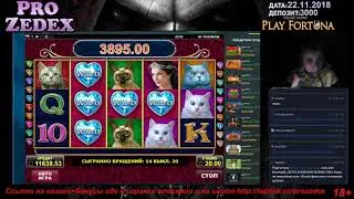 Diamond Cats x524