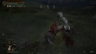 Elden ring funny bug
