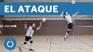 VOLEIBOL para PRINCIPIANTES - CONSEJOS para VOLEIBOL