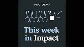 Family offices target climate transition, foundations invest in AI for good, and a voluntary carb...