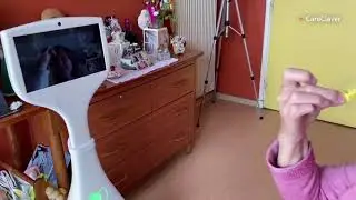 Robot fighting loneliness in the elderly
