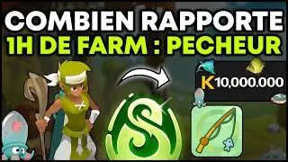 COMBIEN RAPPORTE 1H DE FARM PECHEUR sur DOFUS ?