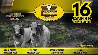 GARANTIDO LEILÕES RURAIS - RIANÁPOLIS-GO