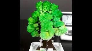 Crystal Tree Growing #Short
