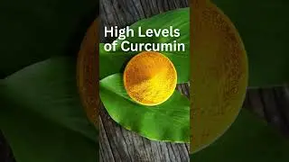 Bulk Order Lakadong Turmeric ( haldi ) directly from Meghalaya FPOs Mandi Price | Myapaar Guide #b2b