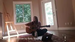 Flightless Bird (American Mouth) -- Iron and Wine Cover by Kelly Stiers
