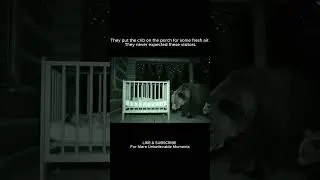 HEART-STOPPING: Bear Cubs Peer Into Baby's Crib! (Caught on Camera)