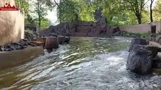 Opstarten van de Piraña @ Efteling 7.5.2022