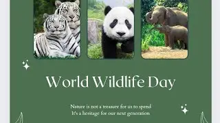 Why is World Wildlife Day celebrated?tarted World Wildlife Day?#worldwildlifeday