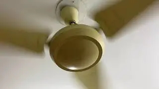 National Tongi Fan (48 inches)
