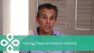 How Egg Freezing Can Help Prevent Infertility