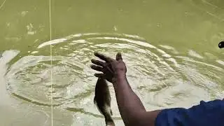 Mancing kolam dulu ketua 🎣 berangkat penuh harapan pulang bawa pelajaran 🗿