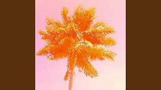 Orange Fox