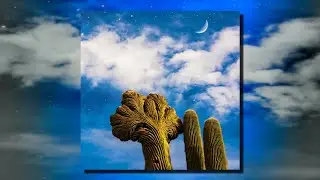 Diespnea - Radici (Full Album)