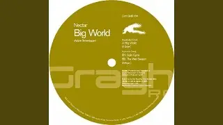 Big World