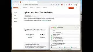 How to upload a file to GOTOES|Strava Tools Manually