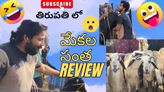 Mana Tirupathi lo 🐐 santha ki vachina full video chudandi |explore|reviews|Experience