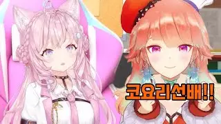 코요를 선배라고 부르는 선배의 선배