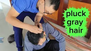 PLUCK WHITE HAIRS, nhổ tóc bạc cho anh tư bằng nhíp MR GREEN asmr 