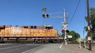 UP 5503 Grain Train w/ SD70AH Unit South Acampo Road Railroad Crossing Acampo, CA