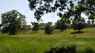 Ranch for sale in Faulkner Co., Arkansas