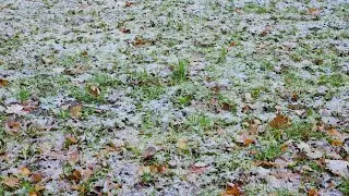 Unexpected hail and snow fall in Amsterdam (Nov 2024)
