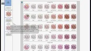 GemePrice - Fancy colored diamonds mode
