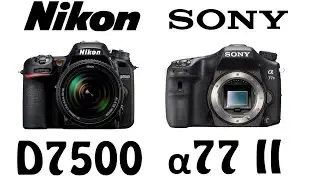 Nikon D7500 vs Sony &alpha;77 II