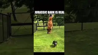 Funny animal voice over #shorts