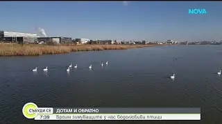 Зимно преброяване на птиците в района на Бургас