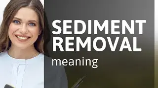 Understanding Sediment Removal: An Essential Guide