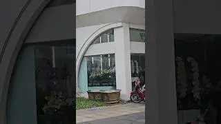 베트남 호치민 난꽃가게 난전문점 난가게 | Orchid Shop in Ho Chi Minh City Vietnam