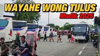 MULAI RAMAI PEMUDIK KEBERANGKATAN SORE TERMINAL TANJUNG PRIOK‼️