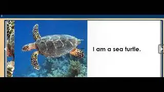 WHO'S IN THE OCEAN?animal story for kids, children, ESL, elementary EASY READ ALONG AUDIO STORY BOOK