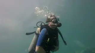 Day 12 Phu Quoc Diving 27th Jan