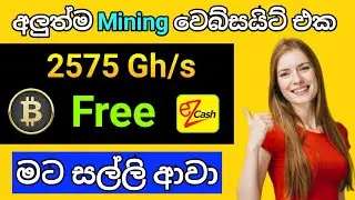 Bitcoin Mining Website (Bestmining.top) Payment Proof No Investment and Instant Payout  | NSCDGEEK