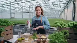 Smaka med Svegro | Lime- och koriandermajjo