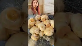 Mushroom खाने से पहले ये जरूर करना !