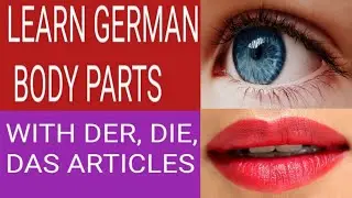 German for Beginners: Body Parts With Articles and English Translations