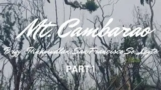 MT. CAMBARAO MOSSY FOREST AFTER THE SUPER TYPHOON ODETTE || Brgy. Pinamudlan So. Leyte || PART 1