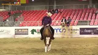 TOP SCORE OF THE DAY 14.11.2017  - IRHA FUTURITY 2017 RUDI KRONSTEINER