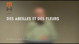 Des abeilles et des fleurs