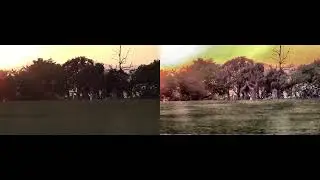 ProHawk AI Public Safety Monitoring | Extreme Backlight Sunset