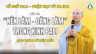 Cổ Ngữ Pali B&agrave;i 14: Vị Lai Ph&acirc;n Từ (-tabba) V&agrave; Nghĩa &ldquo;N&ecirc;n/Đ&aacute;ng Phải L&agrave;m - Ni Sư Diệu Hiếu